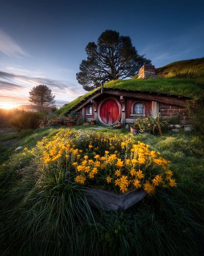 Peace flows through colours