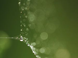 Goutte à goutte Art 2