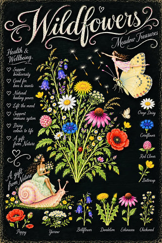 Fleurs sauvages – Trésors des prairies