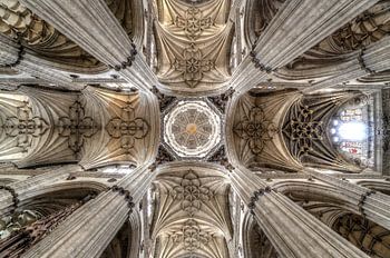 De nieuwe kathedraal van Salamanca