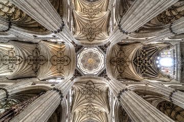 De nieuwe kathedraal van Salamanca by Nico Westerhof