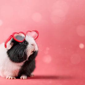 Cavia Hartjesbril - cavia kinderkamer - cavia roze van Marloes van Antwerpen