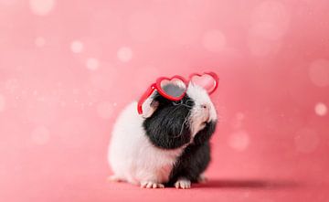 Cavia Hartjesbril - cavia kinderkamer - cavia roze van Marloes van Antwerpen