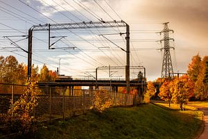 Gleise & Stromleitungen – Herbstlandschaft im Abendlicht