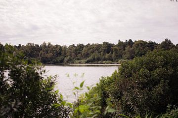 Typische Nederlandse bossen van Angela Kiemeneij