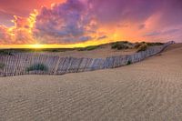 Beautiful colourful sunset after thunderstorm in dunes near Kijkduin and Scheveningen
