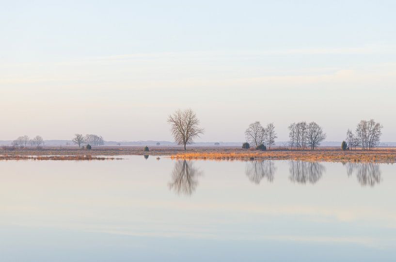Dwingelderveld (Netherlands) by Marcel Kerdijk