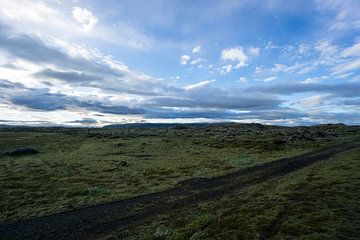 Iceland - Green moss covered lava field at dawn by adventure-photos