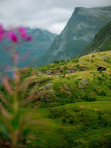 Bergbauernhöfe bei Geirangerfjord von Marèl Katier