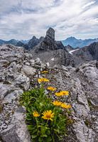 Alps, Sankt Anton am Arlberg