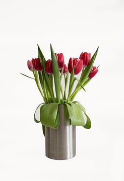 Tulpen kleur witte bg van BAM