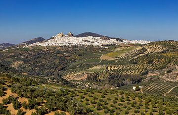 Olvera tussen olijfboomgaarden 2, Spanje van Adelheid Smitt