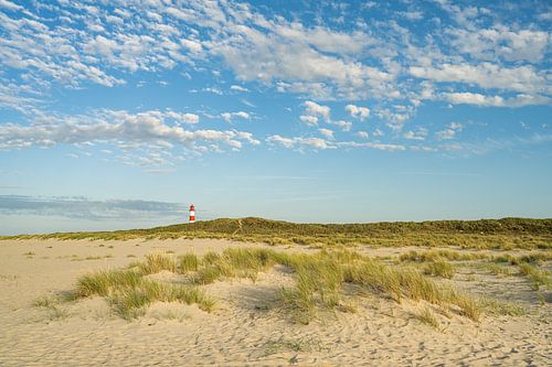Soirée d'été sur l'île de Sylt