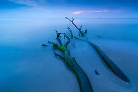 Soirée à la plage ouest sur Martin Wasilewski