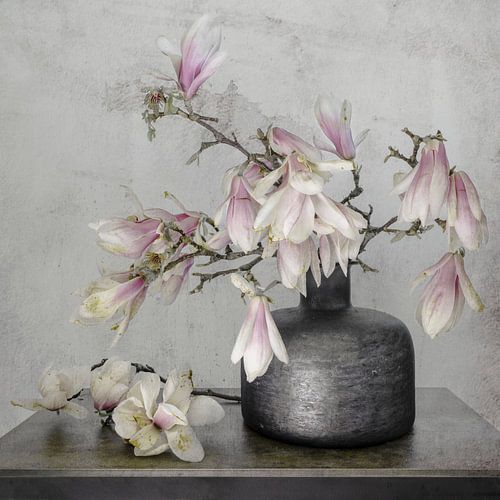 Stilleven met bloemen. Magnolia. Lente.