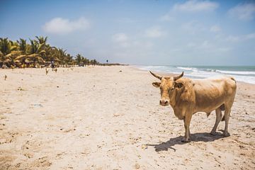 Paradise beach van Andy Troy