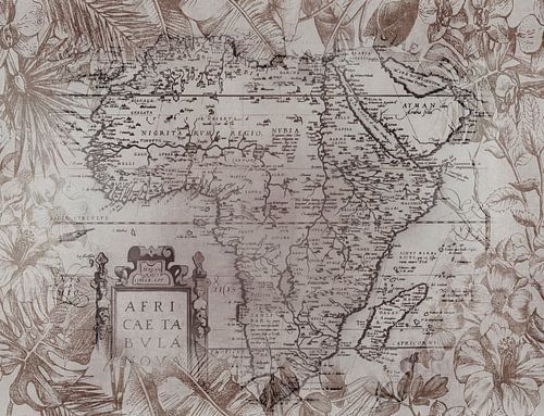 Vintage Afrika Kaart