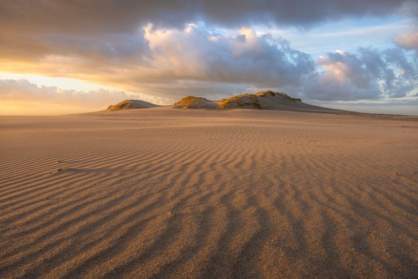 DUNE - Dune by Jeroen Lagerwerf