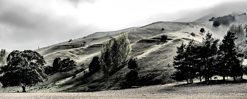 De heuvels is Nieuw Zeeland van Dick Jeukens