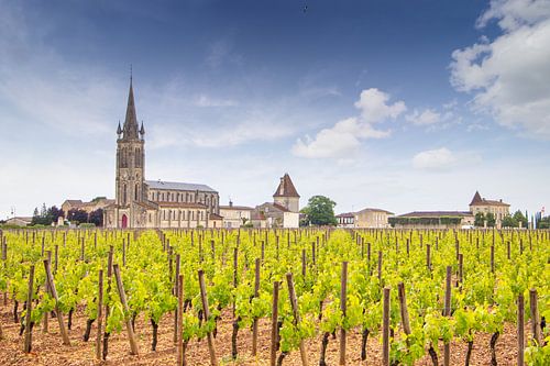 Les vignobles de Pomerol