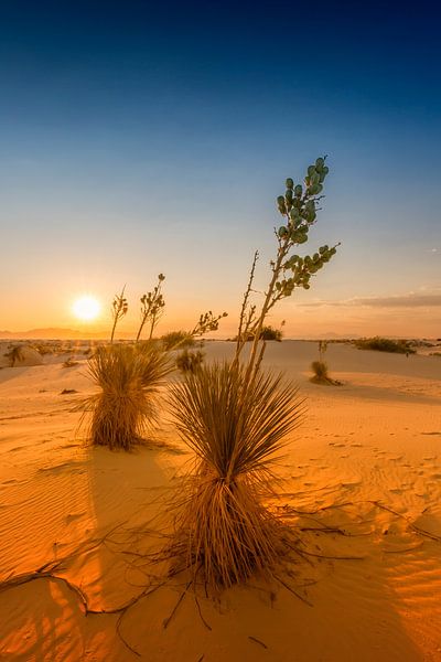 Coucher de soleil sur le White Sands National Monument par Melanie Viola