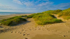 Strand in Camperduin in Holland