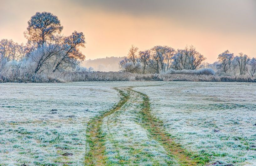 Protected landscape area called Goachat near Schrobenhausen in Bavaria by ManfredFotos