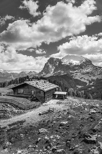 Almhutten op de Alpe di Siusi, Zuid-Tirol