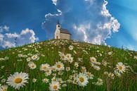 On Top of the Hill von Martin Podt Miniaturansicht