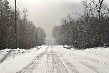 De weg naar het meer in de winter van Claude Laprise