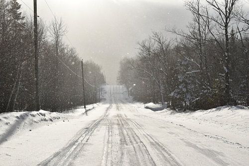 The road to the lake in winter