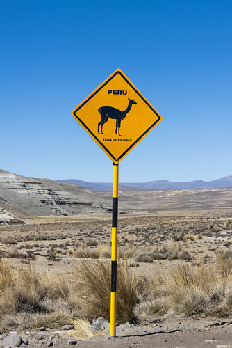 Lama-Verkehrsschild Peru