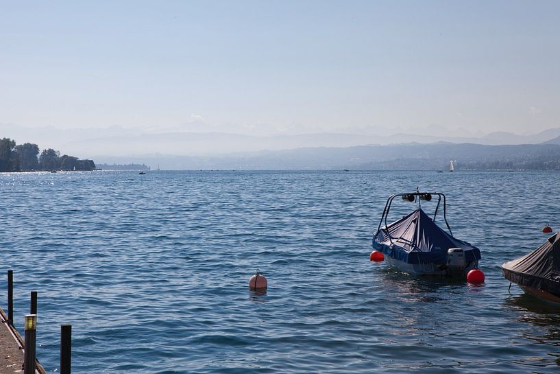 Lake Zurich by t.ART