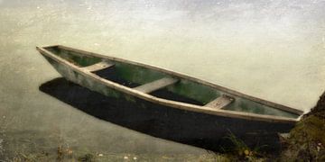 Floodplain - groene boot van Christine Nöhmeier
