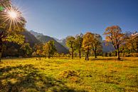 Goldener Herbst im Karwendel - hier am "Großen Ahornboden" von Einhorn Fotografie Miniaturansicht