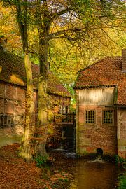 Moulin à eau et ruisseau Mosbeek par une belle journée d'automne sur Sjoerd van der Wal Photographie
