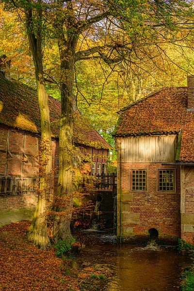Watermolen en Mosbeek tijdens een mooie herfstdag van Sjoerd van der Wal Fotografie