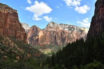 Zion National Park, lopen langs de Virgin River van Bernard van Zwol