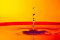 Water column with drops