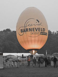 Het ei uit Barneveld 