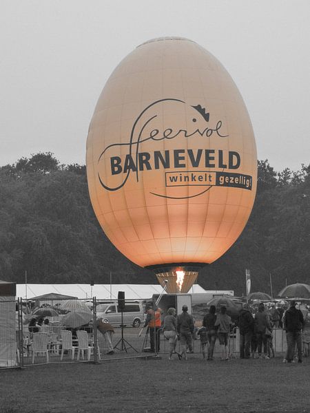 Het ei uit Barneveld  van Veluws