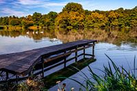 Herfstpracht aan het water