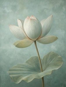 Lotusblume
