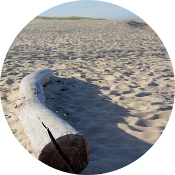 Boomstam aangespoeld