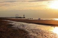 Late summer sun by geen poeha thumbnail