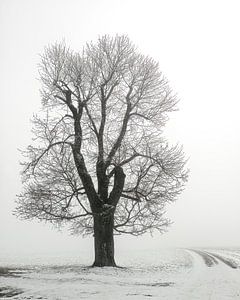 Winterbaum von Anneliese Grünwald-Märkl