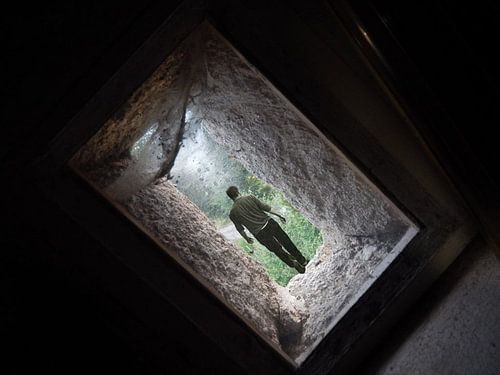 Dissapear von Ineke Vroling