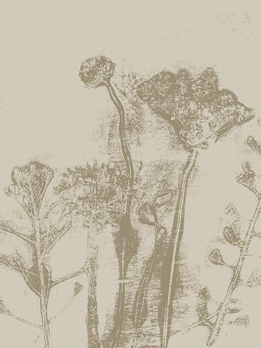 Botanical Art with Flowers and Leaves in Soft Neutrals by Dina Dankers