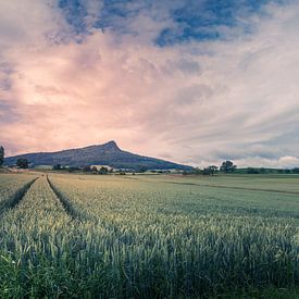 Sfeerlandschap in Hegau in Zuid-Duitsland van Conny Pokorny