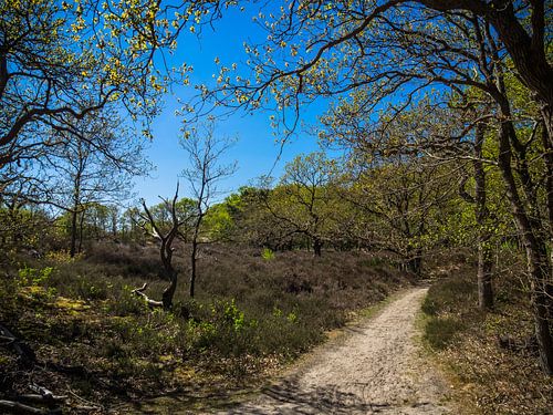 where does the trail go